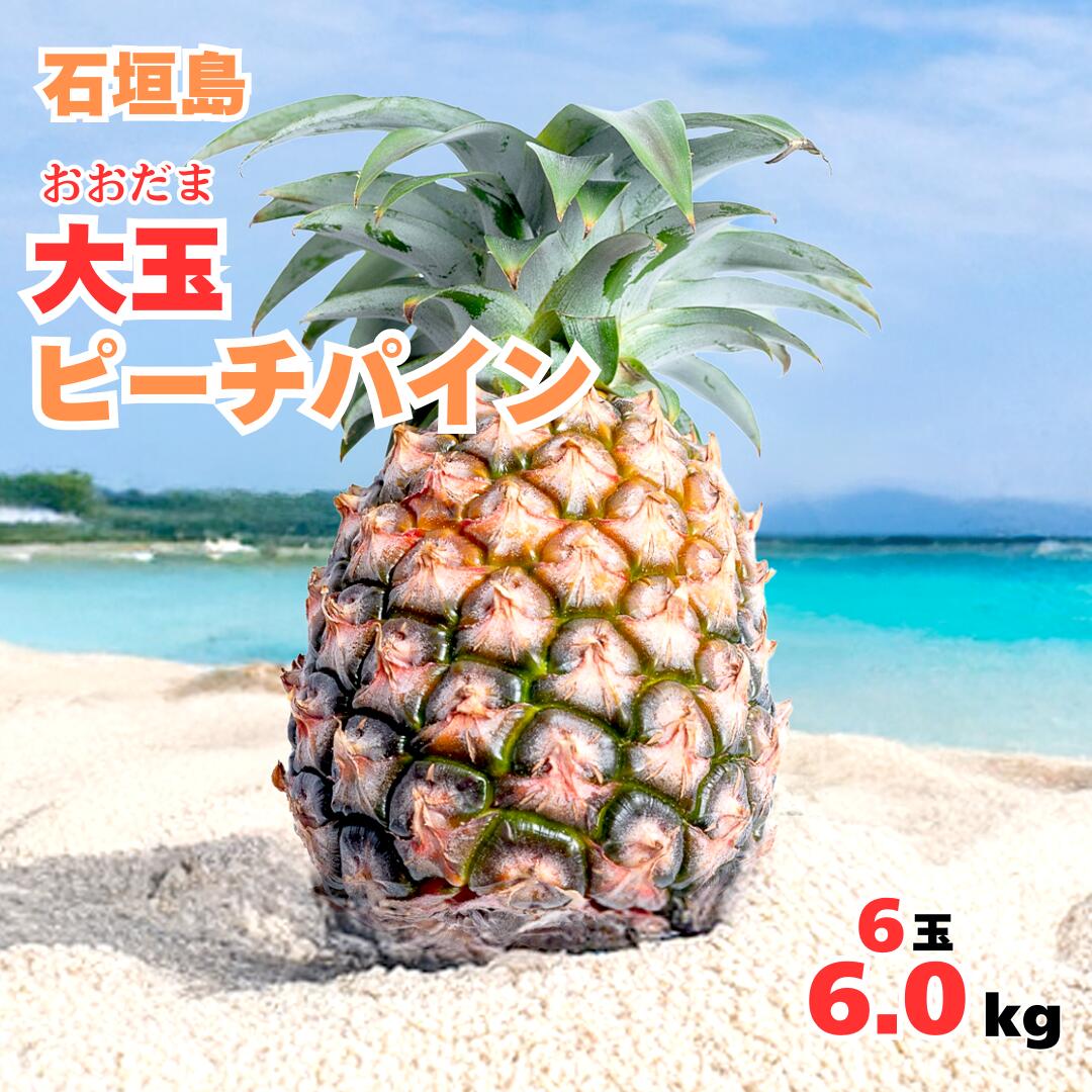 【2026年夏季発送先行販売】 大玉ピーチパイン6玉約6.0kg【全国送料無料】パインアップル・パイナップル・贅沢・御祝・お取り寄せグルメ・石垣島・お取り寄せ・ギフト・プレゼント・フルーツ・お中元・御中元・お歳暮