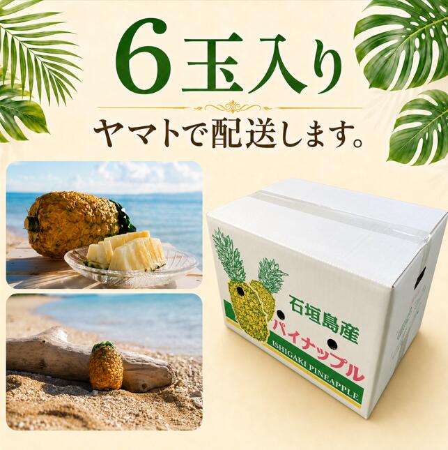 サンプル画像3