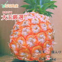 【今だけ1000円割引中!2025年先行販売】〈4月中旬~6月中旬順次発送〉 大玉ピーチパイン2玉約2.0kg【全国送料無料】パインアップル・パイナップル・贅沢...