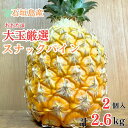 【今だけ1000円割引中!2025年先行販売】〈4月中旬~6月中旬順次発送〉 大玉スナックパイン2玉2.6kg【全国送料無料】パインアップル・パイナップル・贅沢...