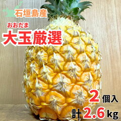 https://thumbnail.image.rakuten.co.jp/@0_mall/pine-mango/cabinet/rakuten/imgrc0091997864.jpg