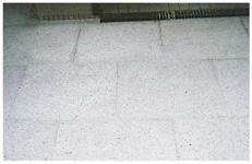 ���ӤȤ�ֻ� 4kg(���������ֻ����Բ�) �����幤���ν���� ���� �������꡼�󥷥꡼�� ��̳������