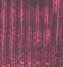 ��̲�����ƥ󡡥������ǥ��󼰡��⥱�åȡ�΢���դ��׸������ס�