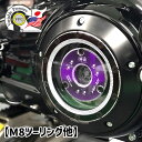 タックスパフォーマンスパーツ■ VPクラッチ クラッチ軽減 パープル （ダイヤモンドカット） 【M8ツーリング他】 T.P.P. TAK'S PERFORMANCE PARTS VP Clutch TPP013 VP-S&A Purple Diamond Cut ハーレー ツーリング