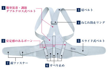 【Dr.Departure お医者さんの背すじベルト】の通販　薄手仕様の背筋矯正ベルト