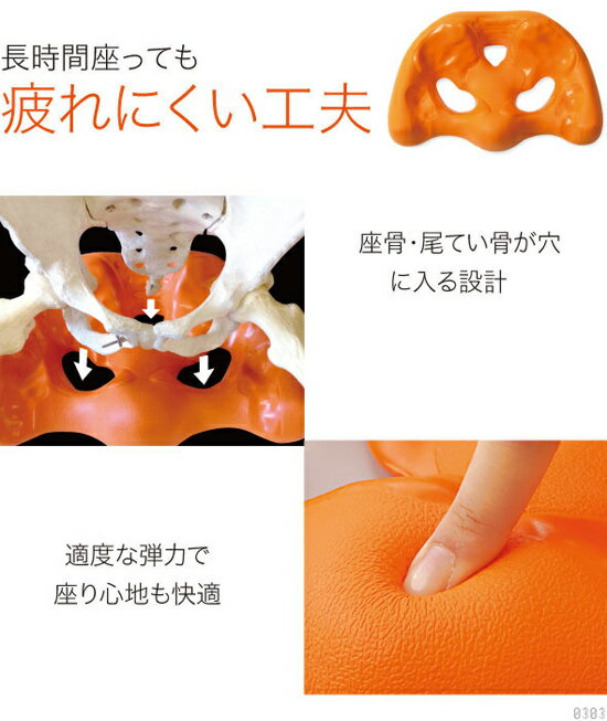 【即出荷】【日本製】骨盤スタンド　[正しい骨盤位置をクッションに立体的に再現した骨盤クッション]
