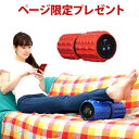 \ページ限定・カードケース付/ LIFEFIT ライフフィット ツイストロール Fit009 【送料無料】保証付き