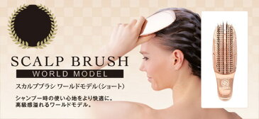 【即出荷】【正規品】【スカルプブラシ ワールドモデル ショート】 ヘアブラシ ヘアケアブラシ スカルプケアブラシ エスハートエス ヘアーブラシ ヘッドスパブラシ 頭皮ケアブラシ