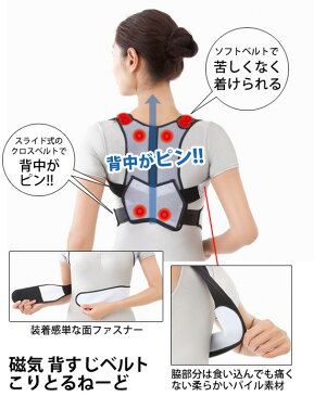 【即出荷】\ページ限定・カードケース付/ 背中サポートベルト 【日本製】【磁気 背すじベルト こりとるねーど】 姿勢矯正ベルト 猫背矯正ベルト