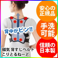 【即出荷】\ページ限定・カードケース付/ 背中サポートベルト 【日本製】【磁気 背すじベルト こりとるねーど】 姿勢矯正ベルト 猫背矯正ベルト
