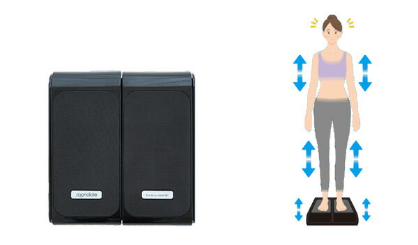 【送料無料】【モンデール ぶるぶるビート BB1】 振動マシン 振動マシーン ぶるぶるマシーン フィットネスマシン フィットネスマシーン 振動ステッパー###2108