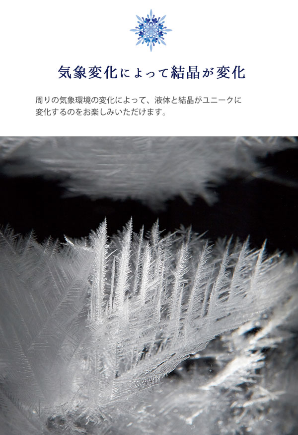 ＼ページ限定・カードケース付／　【送料無料】温度計＆ストームグラス 333-279［ガリレオ温度計 ガラスフロート温時計 液体と結晶 贈り物］