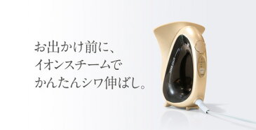 \ページ限定・カードケース付/ スタイルマジック 【送料無料・保証付】【ツインバード STYLE MAGIC SA-4088G】 ハンディアイロン スチームアイロン かけたまま