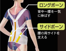 【即出荷】\ページ限定・カードケース付/ 背筋サポートベルト 【日本製・正規品】【お医者さんのがっちり背すじベルト】 姿勢矯正ベルト 背筋矯正ベルト インナー