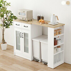 Rakuten - 伸縮キッチンカウンター 扉収納タイプ RCC-1636S