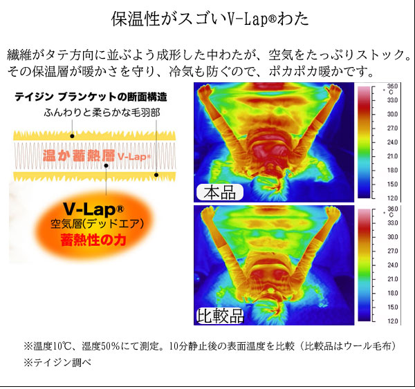 テイジン V-lapあったか無地 掛け毛布&敷きパッド シングル ■正規品・送料無料■ [3]