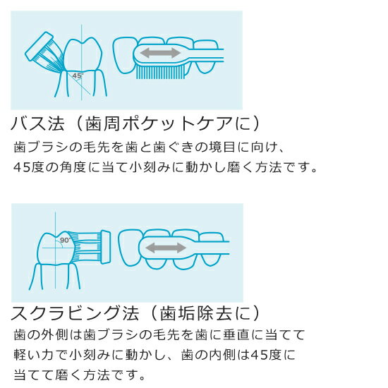 パナソニック 音波振動ハブラシ ドルツ EW-DP52 ■送料無料■