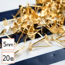 【毎日発送】【サージカルステンレス 316 】 5mm ピアス ゴールド 平皿タイプ×シリコンキャッチセット 20個 (10ペア) 金属アレルギー対策 アクセサ...