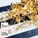 【毎日発送】【サージカルステンレス 316 】 5mm ピアス ゴールド 平皿タイプ×シリコンキャッチセット 100個 (50ペア) 金属アレルギー対策 アクセ...