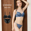 Granatus/グラナティス アディクトレーシーブラ&ショーツセット 下着 ブラ ブラジャー ブラ&ショーツセット ブラショーツ ブラショーツセット セットア...
