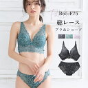 ビアズリー総レースブラ&ショーツセット 下着 ブラ ブラジャー ブラ&ショーツセット ブラショーツ ブラショーツセット セットアップ 上下セット ランジェリー ...