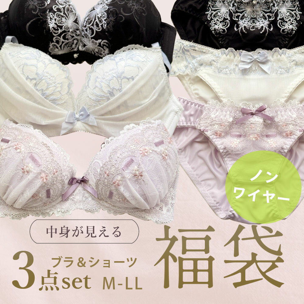 中身の見える福袋 ノンワイヤーブラショーツ3本セット 選べる福袋 下着 レディース ブラジャー ノンワイヤーブラ ショーツ