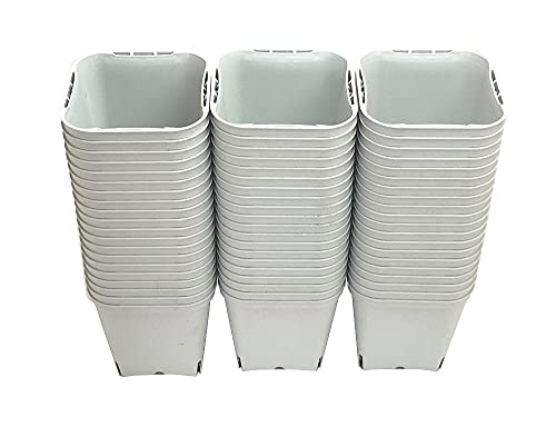 Lyriconte スリット入硬質ポット 9cm ナチュラル 60個セット