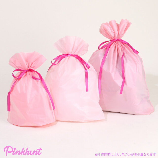 PINKHUNT ピンクハント ギフトラッピング袋-WEB5571誕生日プレゼント お祝い 中学生 ファッション 服 小学生 かわいい