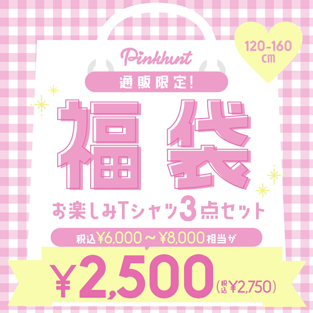 PINKHUNT ピンクハント 通販限定 Tシャツ 3点セッ