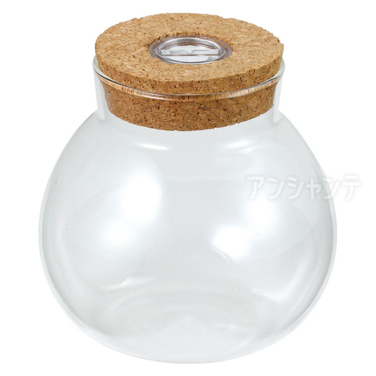 透明鉢 ライト付 1個入 / ケース 光る ディスプレイ ディスプレイ用品 作品収納 ショーケース コレクシ..