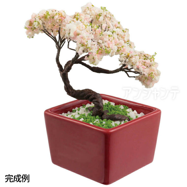 商品について 商品名 ミニ盆栽キット MINIBON 桜 商品紹介 小さな桜の盆栽が作れる工作キットです。葉や枝は自由に動かせるので、自分好みの盆栽デザインが楽しめます。付属のテープを巻くことでリアルな幹を表現でき、特徴的な桜の枝ぶりも再現可能です。手のひらサイズのミニ盆栽は、鉢に入れて飾るだけでミニチュアインテリアやプレゼントにもぴったり。人工植物なのでお手入れ不要で、枯れる心配もありません。夏休み工作やイベント、ワークショップにもおすすめです。作る楽しさと飾る喜びを味わえるクラフトキットです。 【対象年齢】6歳以上 【用意するもの】ものさし、はさみ、ペンチ、両面テープ サイズ（約） 鉢：52×52×35mm 梱包サイズ：90×143×40mm 材質 鉢：陶器、フラワーテープ：紙・ワックス、ジオラマスポンジ：ナイロン、ミニチュア樹木：ナイロン・鉄、ゼオライト、発泡スチロール、銅線 重量(約) 150g 内容 鉢×1、ゼオライト×1、発泡スチロール×1、フラワーテープ×1、ジオラマスポンジ×1、銅線×2、ミニチュア樹木×4 梱包形態 箱入り 製造国 中国 販売元 株式会社アーテック 備　考 ※人工植物です。生木ではありません。 ※画像は閲覧環境により実際の色と異なる場合がございます。 ※色の微差による返品・交換は受け付けておりません。 関連商品 松 桜 紅葉 梅