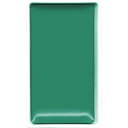 【呉竹】顔彩耽美 No.503 青竹色 あおたけいろ 1個入 / 日本画 イラスト デザイン 水彩 スケッチ 美術 アート 画材 絵 手紙 ハガキ 葉書 材料 ...