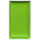 【呉竹】顔彩耽美 No.59 萌黄 1個入 / イラスト デザイン スケッチ 水彩画 美術 アート 画材 絵 手紙 てがみ ハガキ 葉書 材料 kuretake...