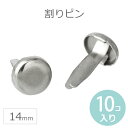 pinkmonkey:10005909のサンプル画像3