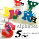 アンシャンテラボ アクリル製アルファベットチャーム5cm 厚さ:3mm 豊富なカラー / オリジナル商品 ネームタグ イニシャル ハンドメイド材料 パーツ 資材...