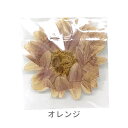 在庫限り!押し花 シラネリア 3枚入 / 橙 緑 レジン クラフト パーツ ドライフラワー ハンドメイド材料【ゆうパケット対応】