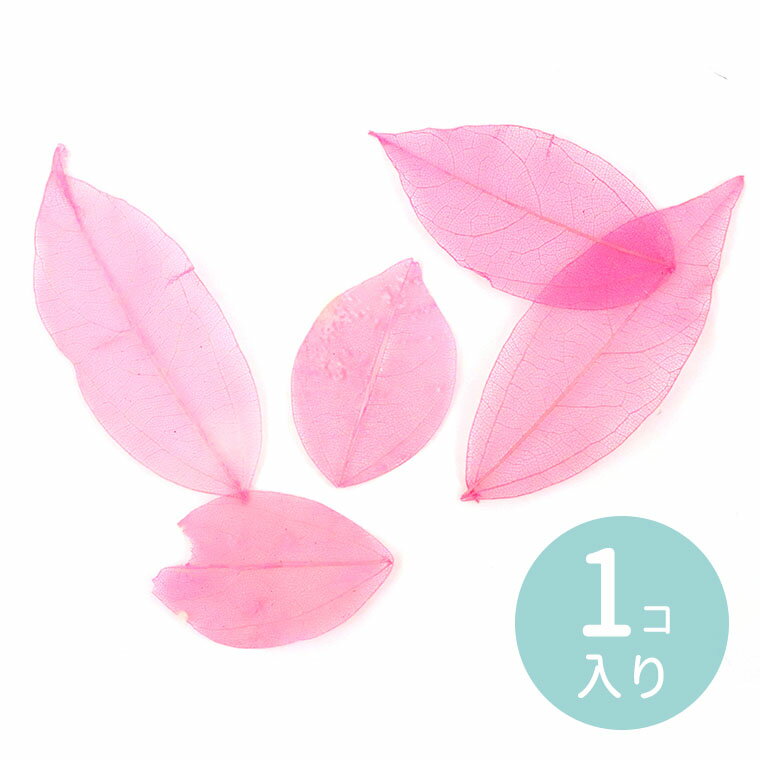在庫限り！5枚入 ナチュラルオーガンジーリーフ ピンク 約25～50×40～80mm / 桃色 桃 はっぱ 葉 leaf 透かし 封入 レジン デコ素材 デコレーション 装飾パーツ ふわふわ ふんわり 撮影小道具 赤 red ゆめかわいい【ゆうパケット対応】
