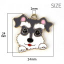 1個入 24mmm×24mm メタルチャーム 犬 シュナウザー グレー ホワイト / いぬ ドッグ 動物 ピアス イヤリング ハンドメイド アクセサリーパーツ【ゆうパケット対応】