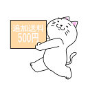 再発送&追加送料500円 母の日