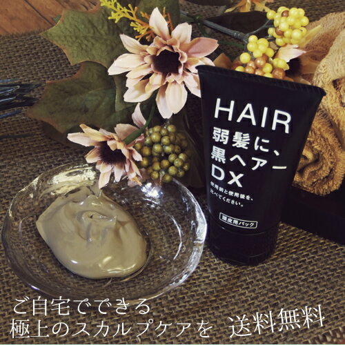 【送料無料】★ヘアケア部門ランキ