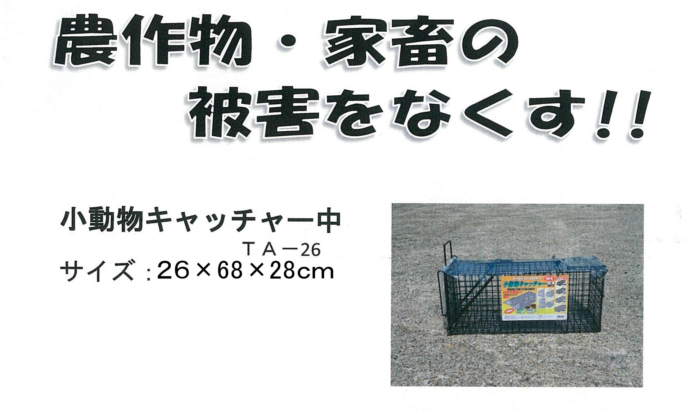 ��ưʪ����å���ݡ��桡(TA-26)