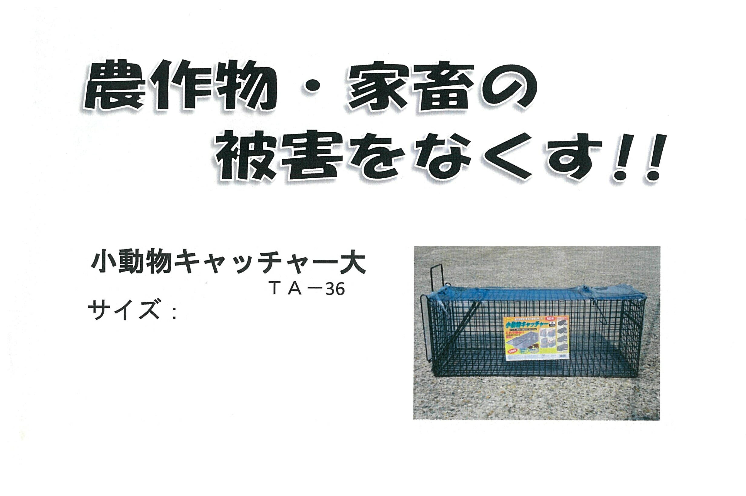 ��ưʪ����å���ݡ��� (TA-36)