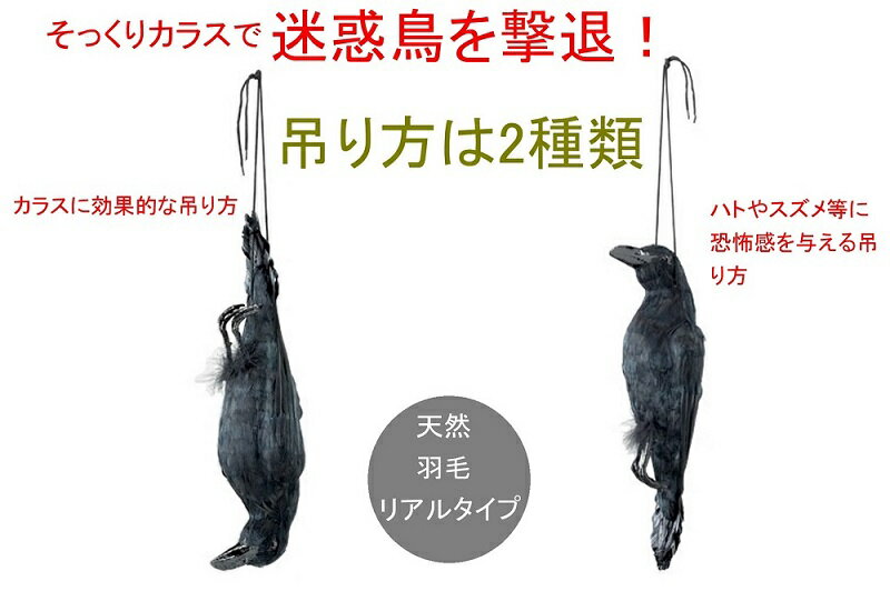 �ߥĥ����󡡥��䥬�饹