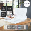 ピノスタジオ 撮影 背景 シート Standard版 選べる柄4種 お得な2枚セット 単品 【Mサイズ 65×120cm】 シワ抑制素材 簡単セット 収納コンパ...