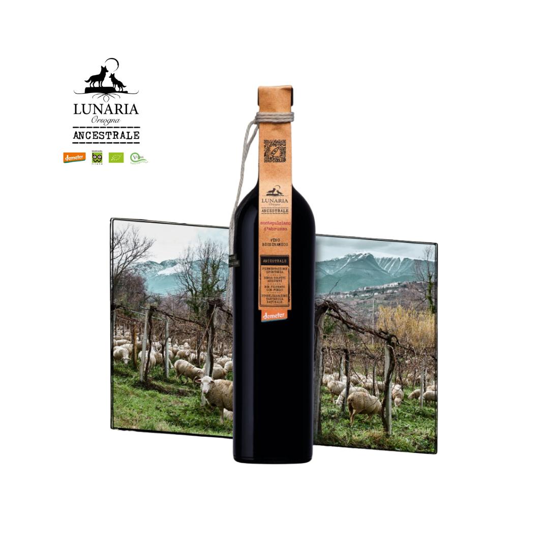 【赤ワイン】 ルナリア・モンテプルチアーノ・ダブルッツォ・アンセストラル・ナチュレ・ワイン カンティーナ オルソーニャ イタリアワイン ルナーリア ナチュラルワイン ビオディナミ ヴィーガン vegan デメテル デメテール 母の日 父の日 ワイン