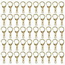 MAEXUS キーホルダー金具 50個入りキーホルダーパーツ キーホルダー 御洒落 手作りキーホルダー ワンタッチキーホルダー金具DIYキット、キーホルダー金具...