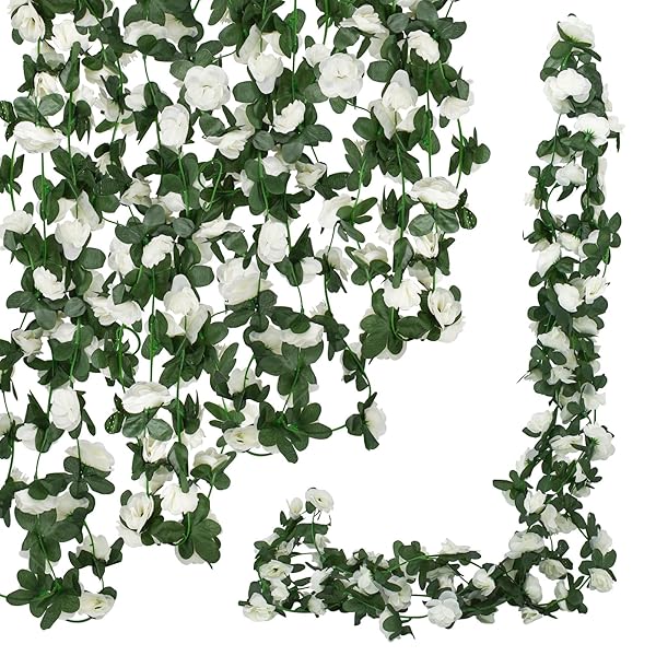 Bacucine ¤ ƣ ܤ ߤ뤹 ɳݤ ͹  륯 ð 45ĥå Ϥʤ ե ե ͹տʪ ǥ ֱ ...