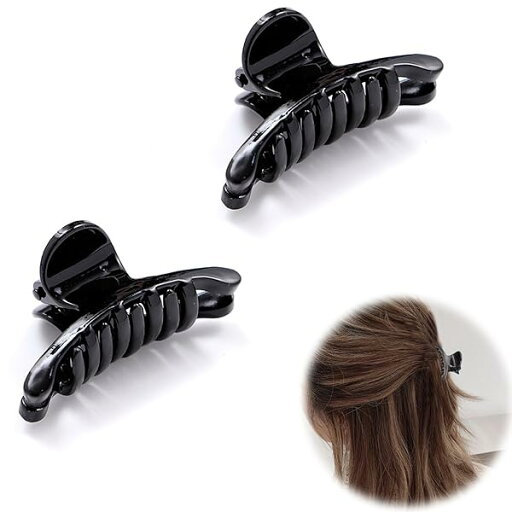 Liroyal ヘアクリップ ミニ (2個セット) 小さめ ヘアピン ミニ 髪留め 髪クリップ レディース バンスクリップ ヘアアクセサリー ヘアアレンジ シンプル 軽い オフィス ブラック Liroyal ヘアクリップ ミニ (2個セット) 小さめ ヘアピン ミニ 髪留め 髪クリップ レディース バンスクリップ ヘアアクセサリー ヘアアレンジ シンプル 軽い オフィス ブラック