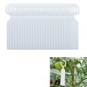 園芸ラベル 植物タグ 盆栽タグ 植物ラベル ガーデニングラベル プラスチックタグ フラワーシード名タグ 植物識別 ガーデン芝生用品 【100枚 ホワイト】(4)