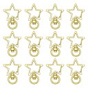 キーホルダー パーツ MUNCVY 20点セット 回転カン カワイイ 星 スター ナスカン ゴールド 金具 ンドメイド 手作り キーリング